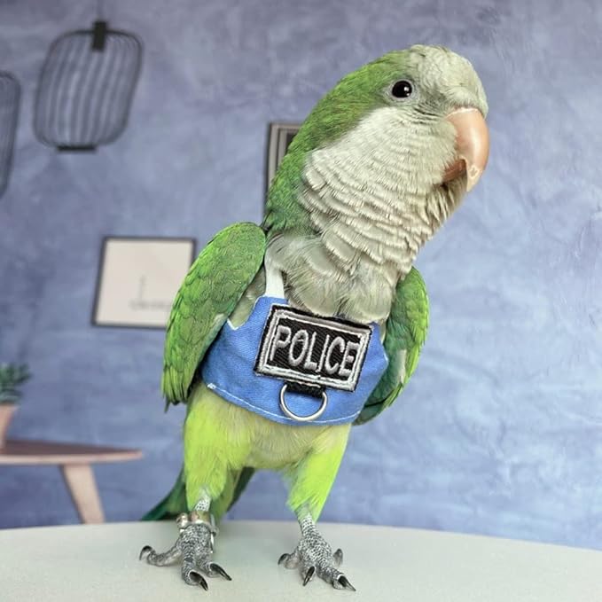 Bird Flight Harness Vest, Parrot Flight Suit with Leash, Bird Flying Clothes with Rope and Handle for Outdoor Activities (with Leash,Hahn's Macaw)