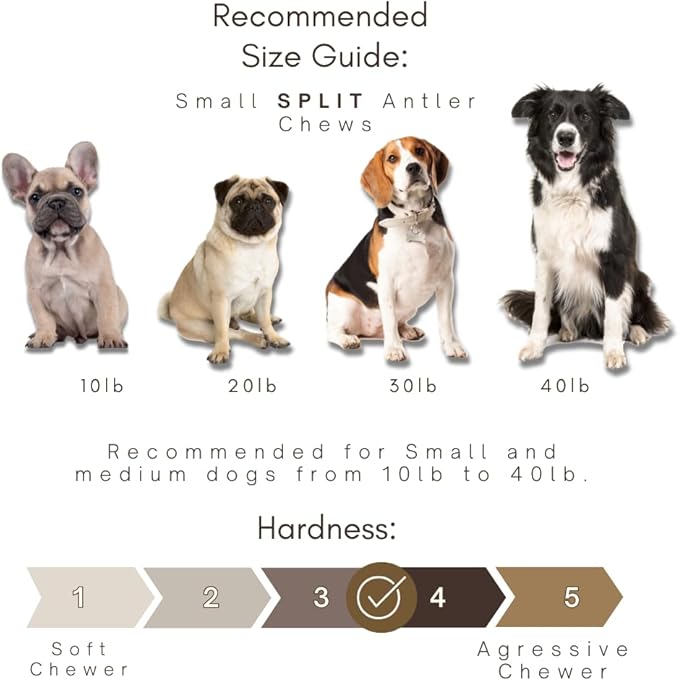 WhiteTail Naturals Premium Split Elk Antlers for Dogs (6 Pack- Small to Medium) All Natural Dog Chews | Naturally Shed, Antler Bone Half-Cut