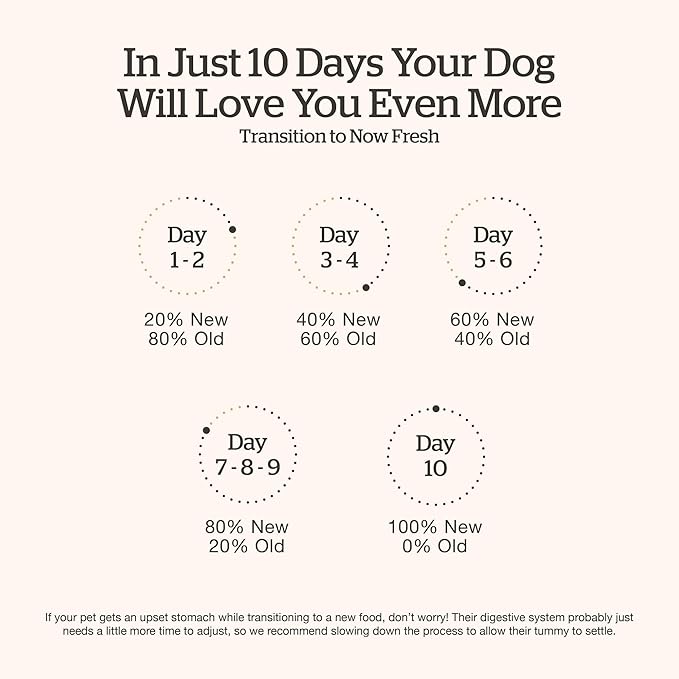 Now Fresh Grain-Free Large Breed Dry Dog Food with Turkey, Salmon & Duck, Premium Kibble for Adults Made with Real Meat & Fish, Chicken-Free, Glucosamine & Chondroitin for Healthy Joints, 12 lb Bag