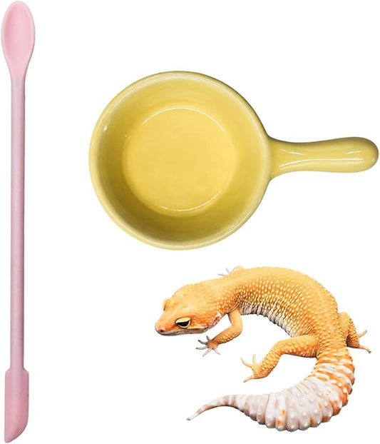 Gecko Accessories, Ceramic Food Bowl with Silicone Spoon for Puree, Reptile Food Dish for Crested, Leopard