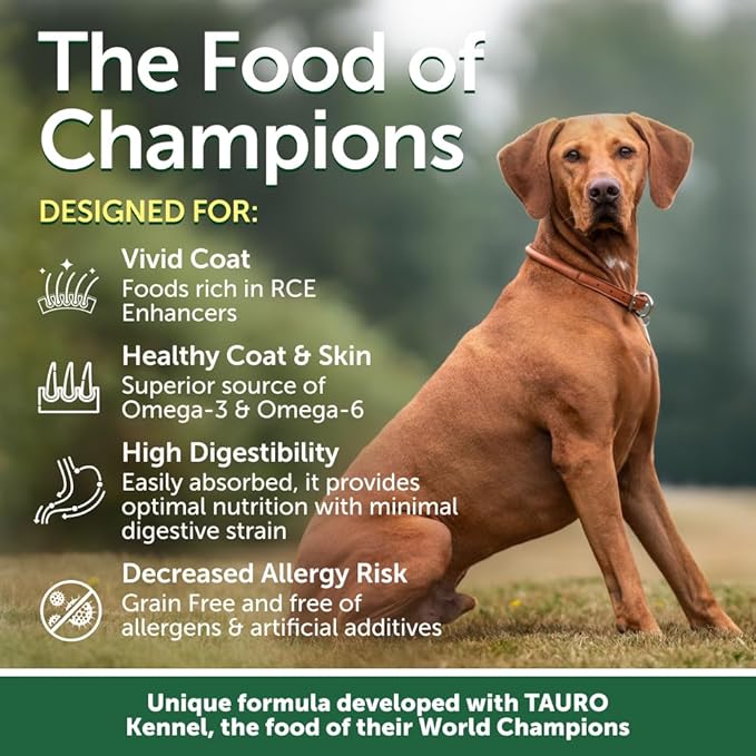 Nature's Protection Dry Dog Food for Small Breed - High Protein, Grain Free, Tear Stain Diet - Dog Kibble Puppy & Adult Dogs with Red Fur (Superior Care - Salmon, 3.3 lb)