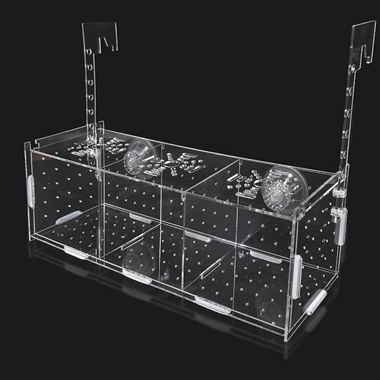 PINVNBY Acrylic Fish Breeding Box，Guppy breeding Box Acrylic Fish Isolation Box Aquarium Incubator with Suction Cups for Guppy Shrimp Small Baby Fishes（3.9 x 3.9 x11.8 in）