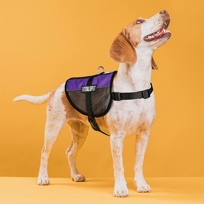 Dogline MaxAire Multi-Purpose Mesh Vest for Dogs and 2 Removable Emotional Support Patches, Small, Purple, (13"-16")