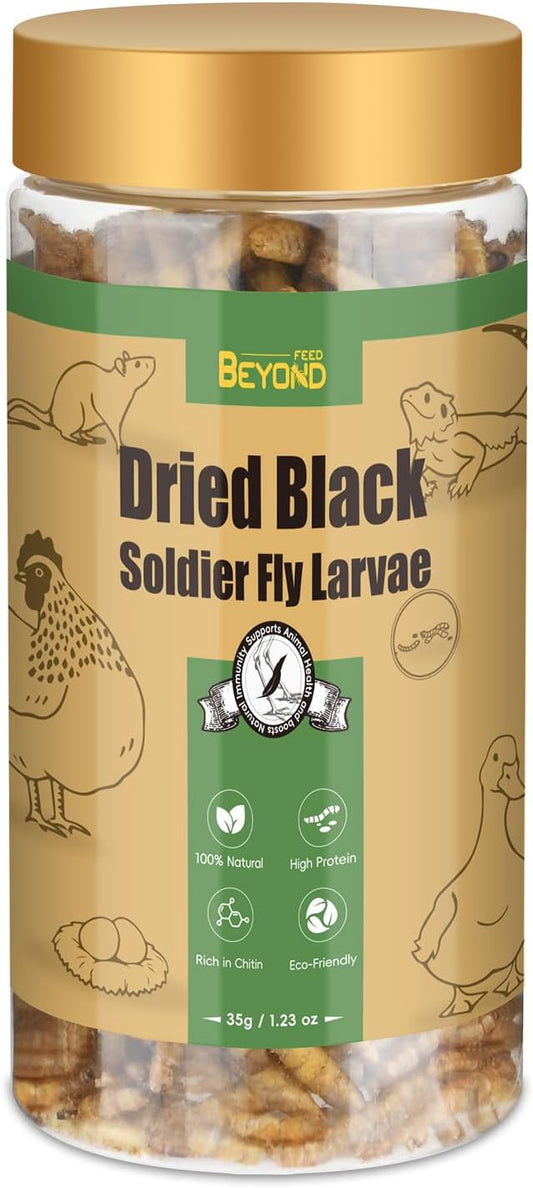 BeyondFeed™ Dried Black Soldier Fly Larvae - Nutrient-Rich, Sustainable Feed for Chickens, Ducks, Birds, Reptiles, Fish, Hamster, Turtles and More (1 Bottle (35g/ 1.23oz))