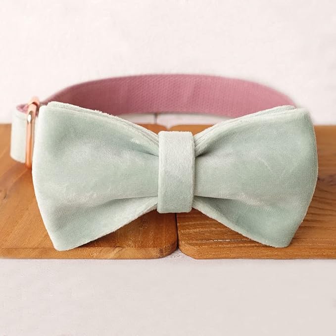 PETDURO Custom Dog Collar Personalized with Name Engraved Quick Release Rose Gold Metal Buckle for Large Medium Small Girl Dogs - Dog Leash and Bow Tie Available - Soft Comfy Velvet (Mint Pink, XL)
