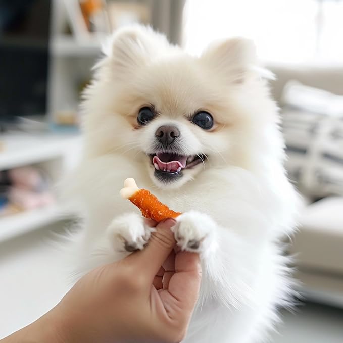 Dog Treats, 2.3 Inch Chicken Wrapped Calcium Bones, Rawhide Free Soft Dog Snacks for Puppy and Small Dogs, 20 oz