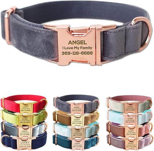 PETDURO Custom Dog Collar Personalized with Name Engraved Quick Release Rose Gold Metal Buckle for Large Medium Small Girl Dogs - Dog Leash and Bow Tie Available - Soft Comfy Velvet (Grey, M)