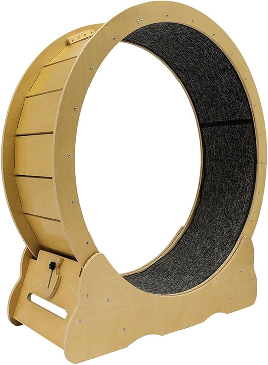 Large Cat Exercise Wheel Cat Running Wheel Treadmill Exerciser with Brake & Carpeted Runway for Most Cats Indoor