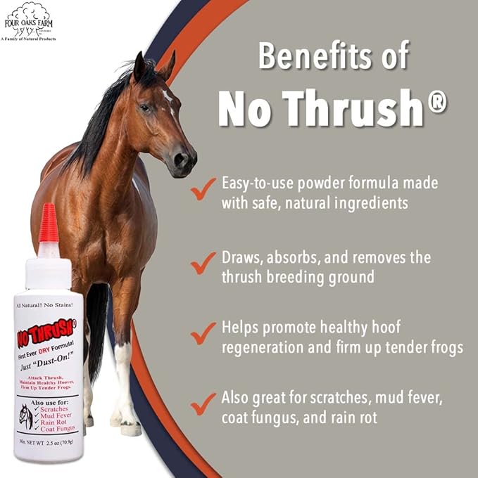 No Thrush Dry Powder Treatment for Horses - Wound Care, Scratches, Rain Rot, Mud Fever, Coat Issues - All Natural Ingredients, Non-caustic, Easy to Use Powder Formula (2.5 oz)