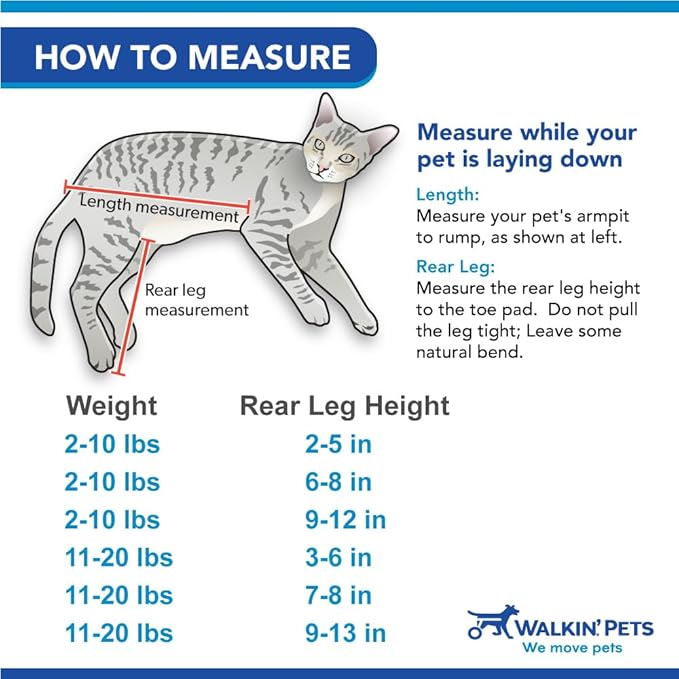Walkin' Wheels Lightweight – for Small Cats 2 to 20 Pounds – Veterinarian Approved – Cat Wheelchair for Back Legs, for Cats 11-20 lbs, 3-6 inches Leg Height – Blue