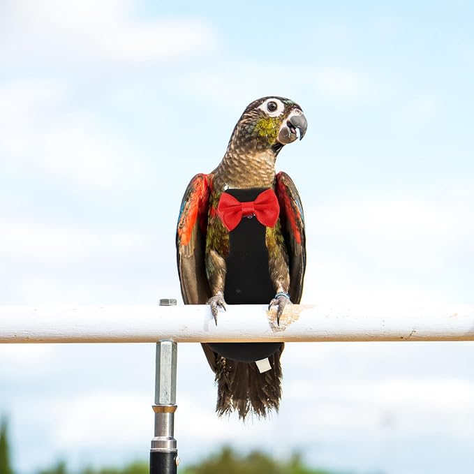 POPETPOP Washable Bird Diaper : Cotton Parrot Flight Suits Reusable Nappies with Adjustable Straps for Pigeons Parakeet, Easy to Wear, Size 2XL