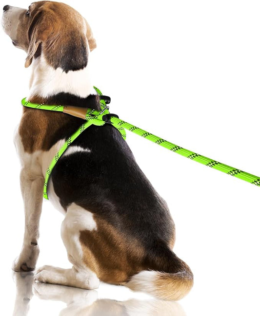 Lynxking No Pull Rope Dog Harness No Pull Reflective Leash Harness Collar 3 in 1 Dog Halter Harnesses Adjustable for Large Giant Dog (Light Green, Extra Large(up to 80Ibs) 10ft*1/2")