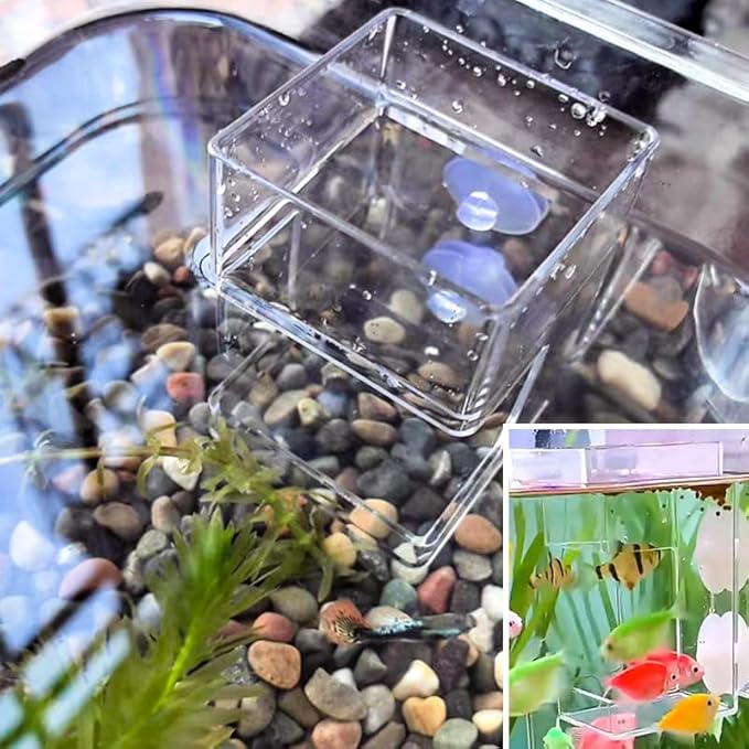 2 PCS Square Fish Feeder with Suction Cup Fish Tank Feed Tray Feeding Tube Supplies Breeder Box for Aquarium