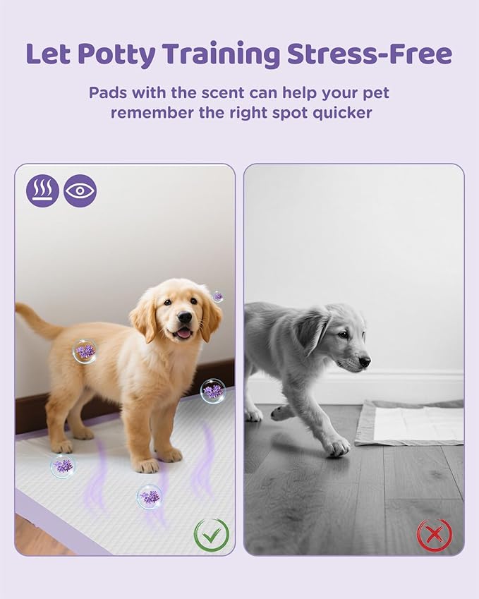 36"x36" 4XL Lavender Scented Disposable Dog Pee Pads, 45 Count | Extra Large Puppy Training Pads with 6-Layer Super Absorbent Protection, Leakproof Puppy Pads for Large Dogs & Senior Pets