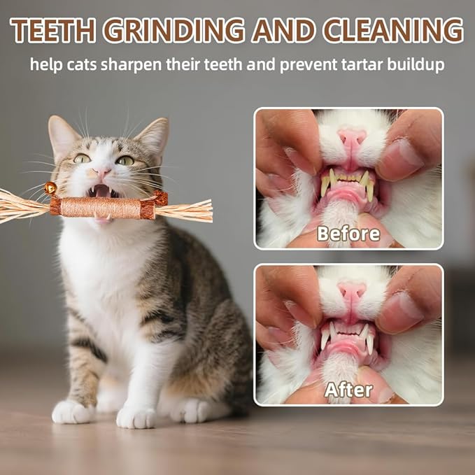 Natural Dried Matatabi Cat Chew Stick with Gall Fruit, Raffia Grass & Cat Bell Ball Toys, Handmade Silvervine Sticks Interactive Catnip Toys for Teething & Entertainment (Size L Color D)