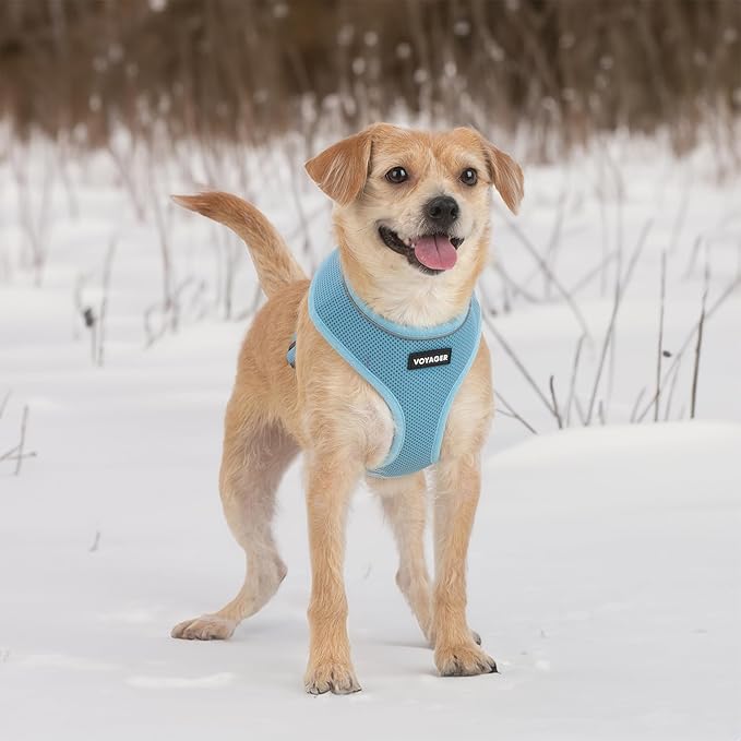 Best Pet Supplies Voyager Mesh Dog Breathable Harness Reflective Stitching, All Weather Adjustable for Walking Training, or Running - Heavy Duty & Durable, 220 Style (Blue), L