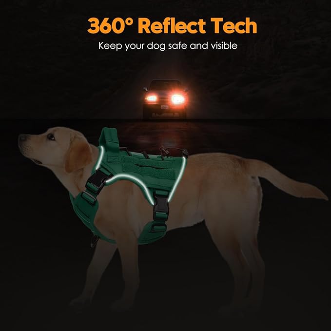 Heavy-Duty Tactical Dog Harness for Large Dogs, No Pull Adjustable Reflective Pet Vest with Molle System, K9 Military-Grade Control for Service Training, Outdoor & 10+ Breeds, Turquoise, Medium
