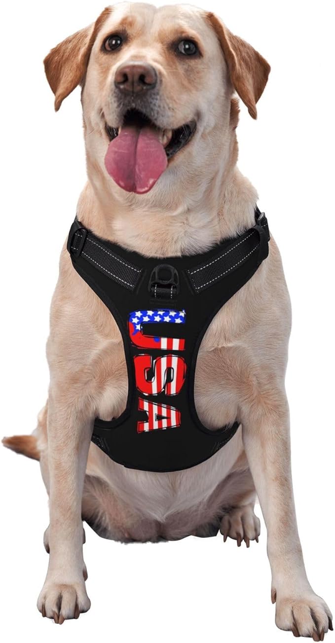 Custom Breathable Pet Chest Harness with Optional Leash, Customize No-Pull Dog Harnesses with Your Personalized Design, Personalize Pet Towing Vest with Mesh Fabric, Peru, XL