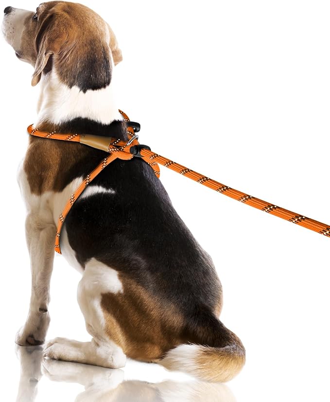 Lynxking No Pull Rope Dog Harness No Pull Reflective Leash Harness Collar 3 in 1 Dog Halter Harnesses Adjustable for Large Giant Dog (Orange, Extra Large(up to 80Ibs) 10ft*1/2")