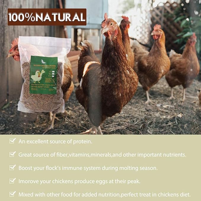 Non-GMO Dried Mealworms,11LB 100% Natural Large Size No Moisture,Treats for Birds Chickens Hedgehog Hamster Fish Reptile Turtles