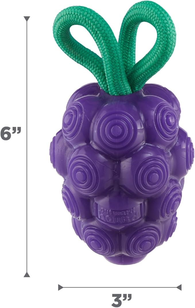 Outward Hound by Planet Dog Dental Grapes Dental Chew Toy and Interactive Treat Stuffer Durable Dog Toy Stuffable Dog Toy, Medium, Purple