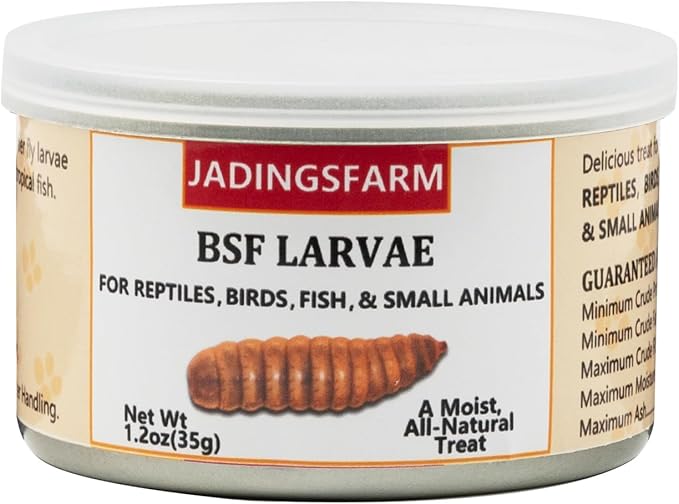 6 Pack Canned Black Soldier Fly Larvae for Reptiles, Fish, Birds and Small Animals, BSF, Healthy High Protein Treat, Reptile Bird Fish Food 7.2 Ounces Total
