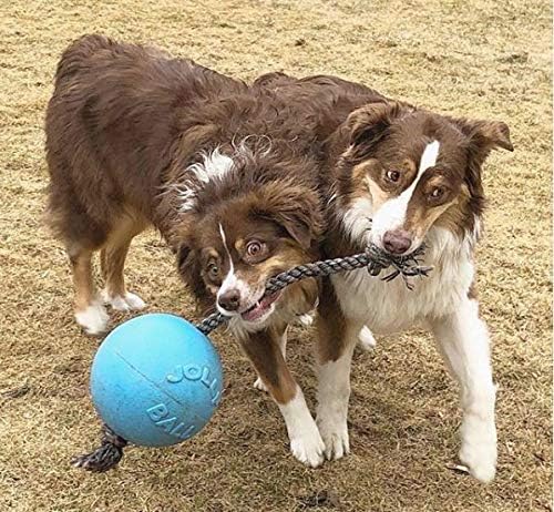 Jolly Pets Romp-n-Roll Rope and Ball Dog Toy, 8 Inches/Large, Blueberry, All Breed Sizes