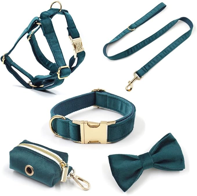PETDURO Personalized Dog Collar Teal Soft Velvet for Large Medium Small Boy Girl Dog - Custom Collar with Name Phone Number Engraved on Gold Metal Buckle - Add Matching Leash Bow Set via Customize Now