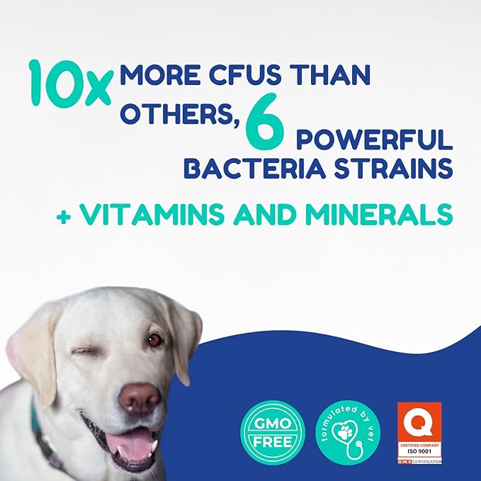 Prebiotic & Probiotic Dog Probiotic Paste, 6 Strains of Bacteria,18 Bi CFU's + Vitamins, Minerals- Upgraded Formula for Fast Balance GI, Dogs Probiotic Paste (14 g)