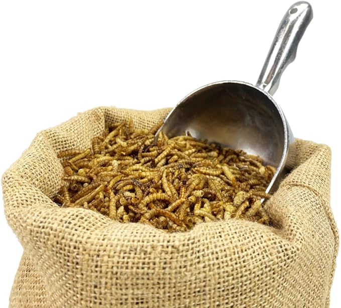 Chubby Mealworms 4Lbs Bulk Dried Mealworms High Protein Treat for Chickens, Birds, Ducks and Much More