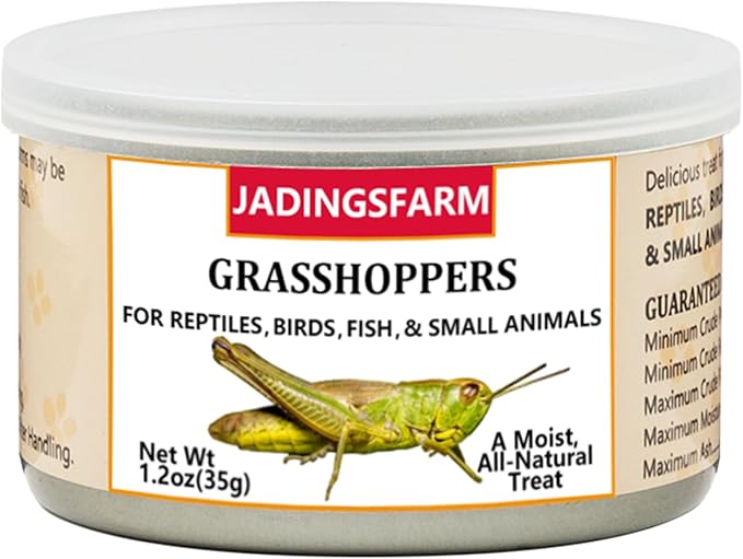 6 Pack Canned Grasshoppers for Reptiles, Fish, Birds and Small Animals, Grasshoppers, Healthy High Protein Treat, Bearded Dragon Food 7.2 Ounces Total