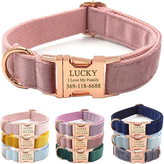 PETDURO Custom Dog Collar Personalized with Name Engraved Rose Gold Metal Buckle for Large Medium Small Girl Dogs - Dog Leash and Bow Tie Available - Soft Comfy Velvet (Champagne Pink RG, XL)