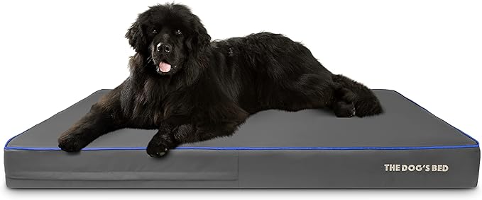 The Dog’s Bed Orthopedic Memory Foam Dog Bed, XXXL Grey/Blue, Pain Relief for Arthritis, Hip & Elbow Dysplasia, Post Surgery, Lameness, Supportive, Calming, Waterproof Washable Cover