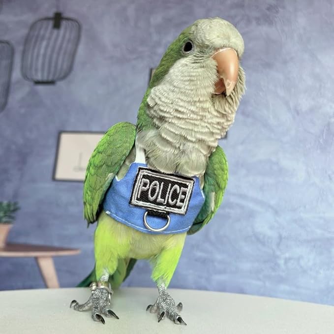 Bird Flight Harness Vest, Parrot Flight Suit with Leash, Bird Flying Clothes with Rope and Handle for Outdoor Activities (with Leash,Lorikeet)