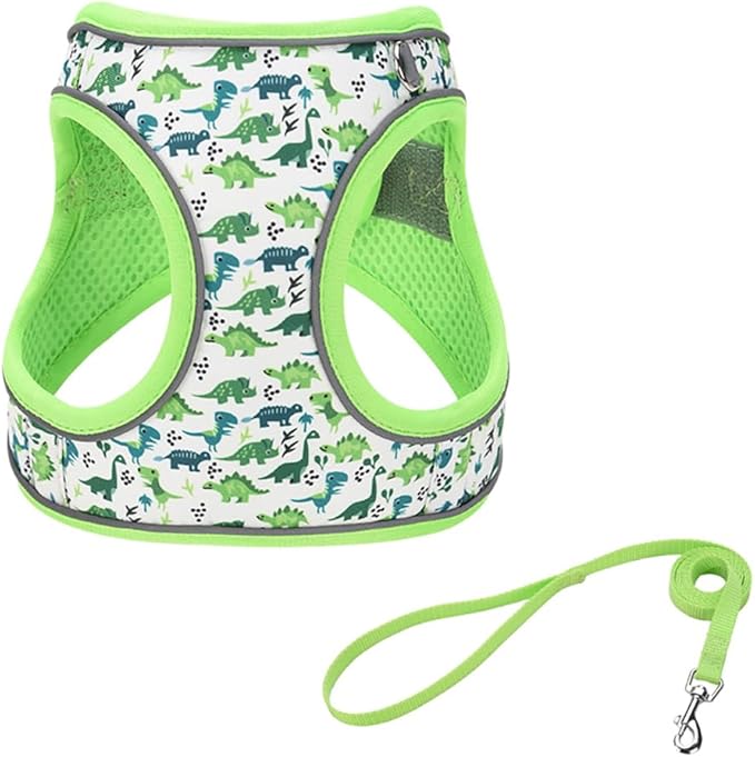 Step in Dog Harness and Leash Set, Flower Adjustable Easy Walk Puppy Harnesses, Soft Mesh Pet Vest Harness Small Size Dog Adjustable No Pull Dog Harness for Small Dogs and Cats(Dinosaur1, XXS)