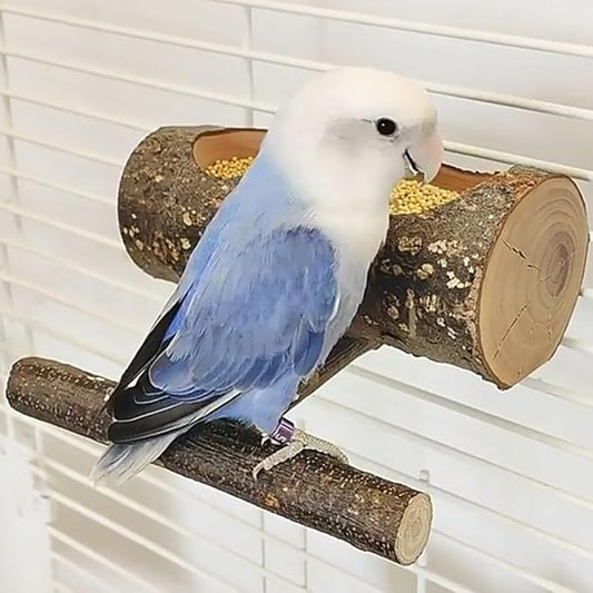 Small Bird Feeding Dish Cups, Removable Pet Food Bowl for Cage, Parrot Feeding Bowls for Finches Lovebirds Budgie Cockatiel Parakeet
