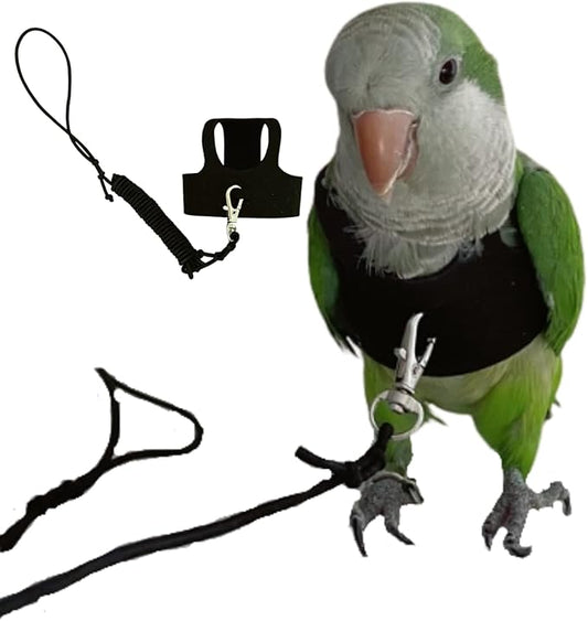 Bird Flight Harness Vest, Parrot Flight Suit with Leash for Parakeets Cockatiels Conures Budgies, Bird Flying Clothes with Rope and Handle for Outdoor Activities Training, Anti Bite (Small)