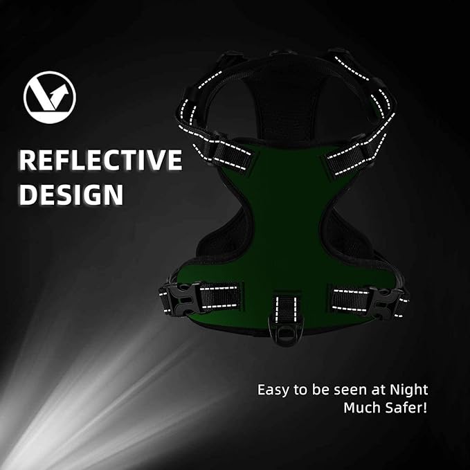 Personalized Pet Harnesses with Name and Phone Number, Heavy Duty Dog Harness with Leash Set Customization, Customizable No Pressure Pet Vest with You Own Design, Gold, XL