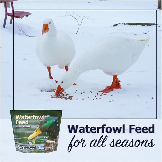 Waterfowl Feed Open Water Diet 40 lb | for Feeding Ducks Geese Swans | Floating Pellets with Niacin for Ducks