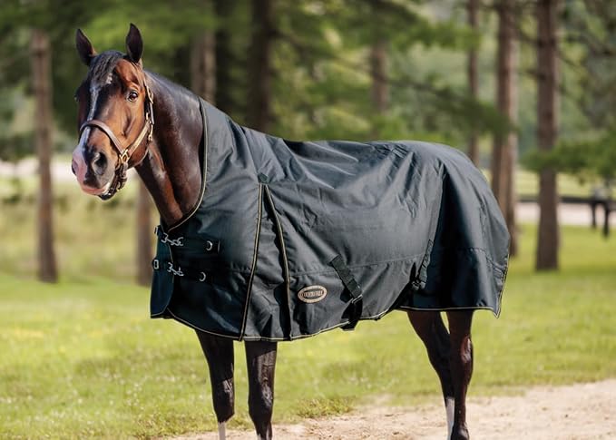 Country Pride Paladin 1200D High Neck Heavyweight Turnout Blanket (92)