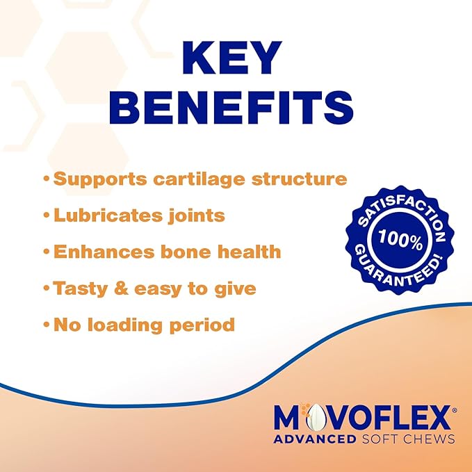 MOVOFLEX Advanced Soft Chews Hip and Joint Support Supplement for Small Dogs 120 Count by Virbac