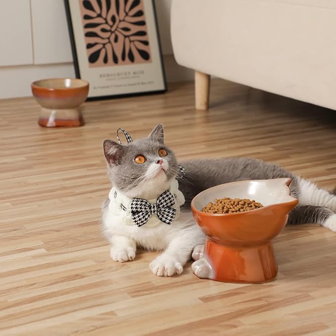 Nihow Elevated Cat/Dog Bowls Set : 6.2 Inch Ceramic Raised Cat Food & Water Bowl Set for Protecting Pet's Spine - Feeding & Watering Supplies for Cat/Small Size Dog - Elegant Brown (2PC)