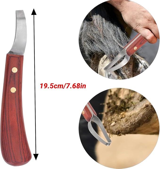 CHICIRIS Double Edged Hoof Knife, Farrier Tool with Stainless Steel Blade and Wooden Handle, Multifunctional Cow Horseshoe Knife for hoof Trimming of Horses and Cows