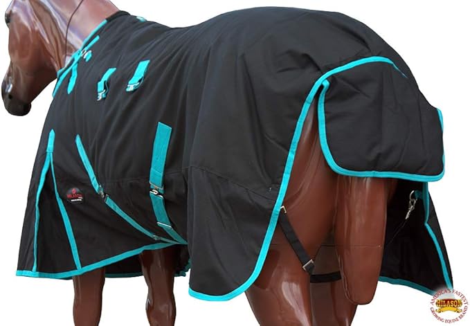 HILASON Black with Turquoise Trims 81 inch 1200D Winter Waterproof Poly Horse Turnout Blanket Belly Wrap