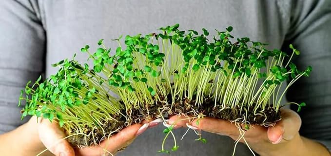 GARDENERA Organic Microgreens Premium Potting Mix - 20 Quart - Crafted with Care for Exceptional Results (4 Bags of 5QT)