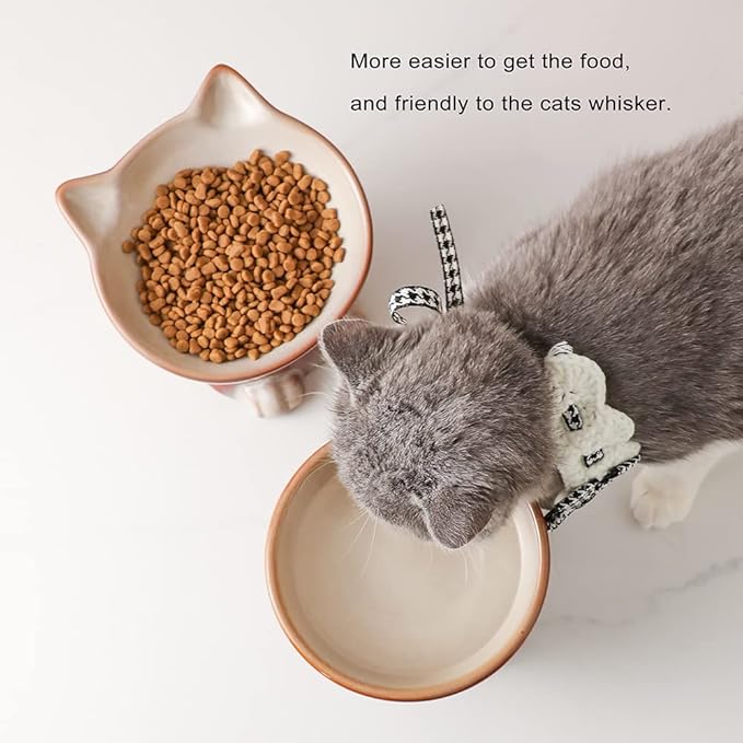 Nihow Elevated Cat/Dog Bowls Set : 6.2 Inch Ceramic Raised Cat Food & Water Bowl Set for Protecting Pet's Spine - Feeding & Watering Supplies for Cat/Small Size Dog - Elegant Brown (2PC)
