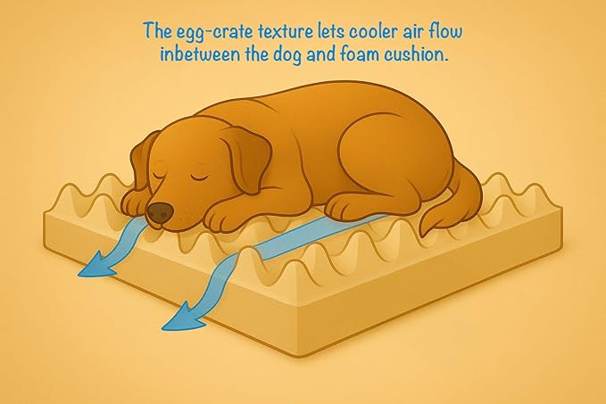 Furry's Paradise Foam Cuddler Pet Bed with Waterproof Liners, Reversible Cushion, Washable Cover, Recycled Fibers and Non-Slip Bottom. (in The Tropics, Orthopedic Medium)