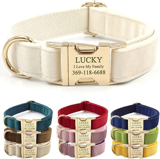 PETDURO Custom Dog Collar Personalized with Name Engraved Quick Release Rose Gold Metal Buckle for Large Medium Small Girl Dogs - Dog Leash and Bow Tie Available - Soft Comfy Velvet (Cream G, L)