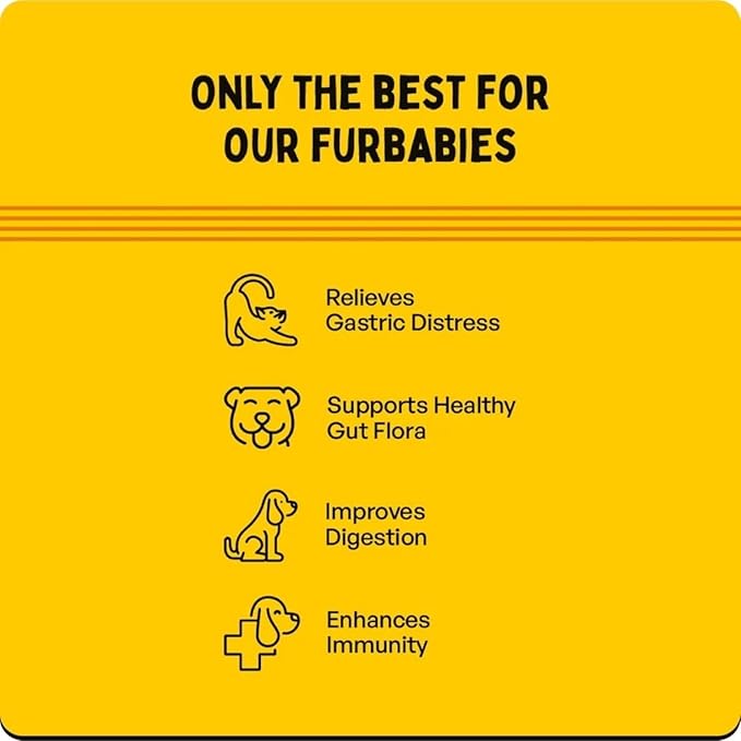 Furlicks Gut Health Supplement for Dogs & Cats | Probiotics, Protease, Lipase for Improved Digestion, Enhanced Immunity, Healthy Gut Flora & Diarrhea & Bowel Support (30 Oral Dissolving Strips)