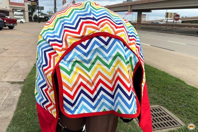 HILASON 1200D Winter Waterproof Poly Horse Hood Turnout Neck Blanket Belly Wrap Rainbow Zigzag | Blankets for Horses